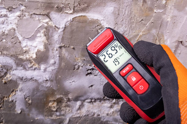 Best Mold Remediation  in Calcium, NY