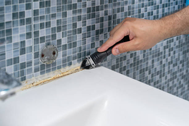 Best Fast Mold Removal  in Calcium, NY